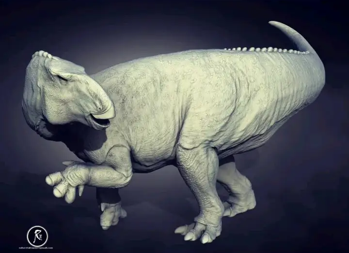 Bolong 3D Digital Models