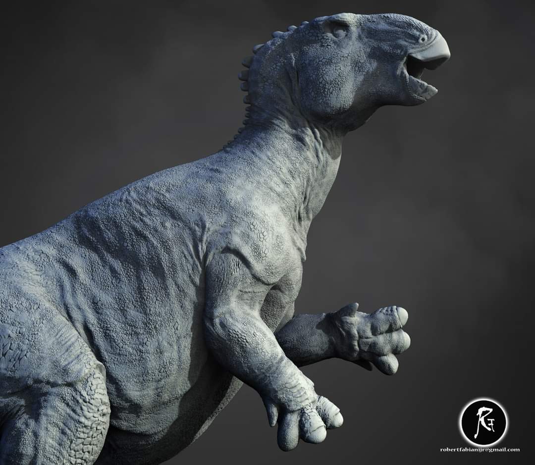 Bolong 3D Digital Models