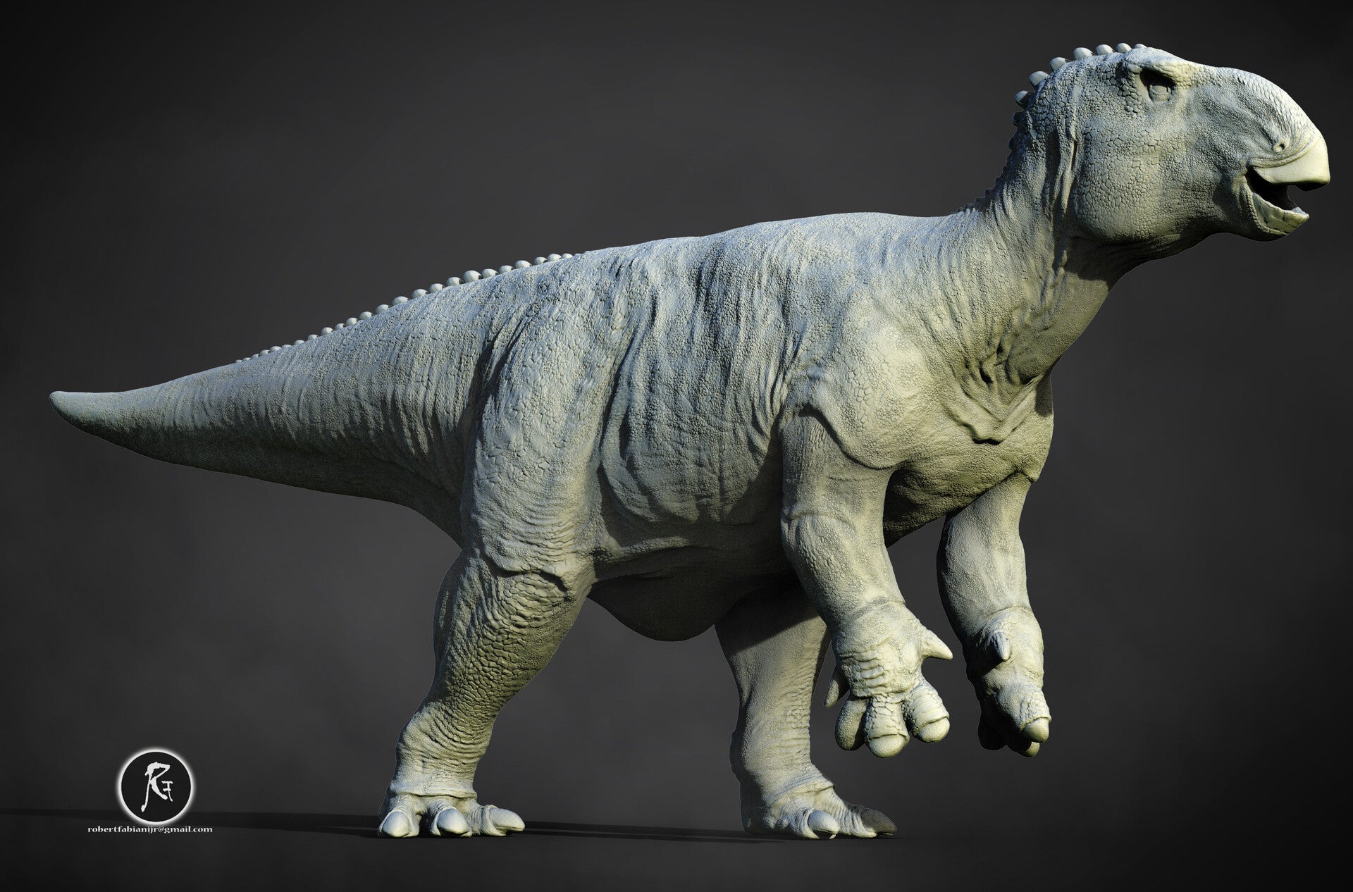 Bolong 3D Digital Models