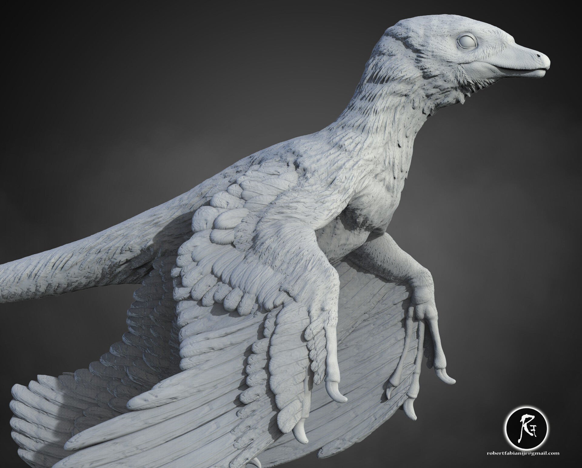 Microraptor 3D Digital Models