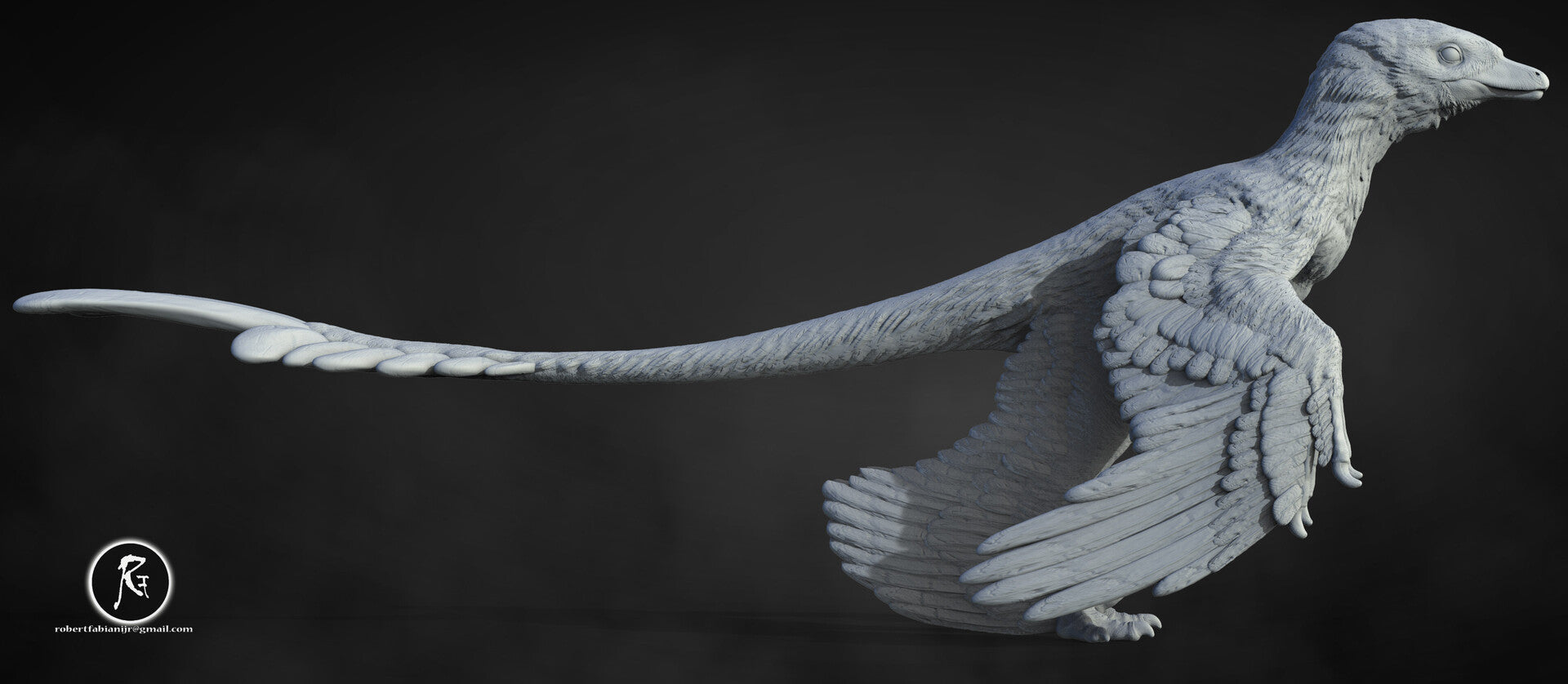 Microraptor 3D Digital Models