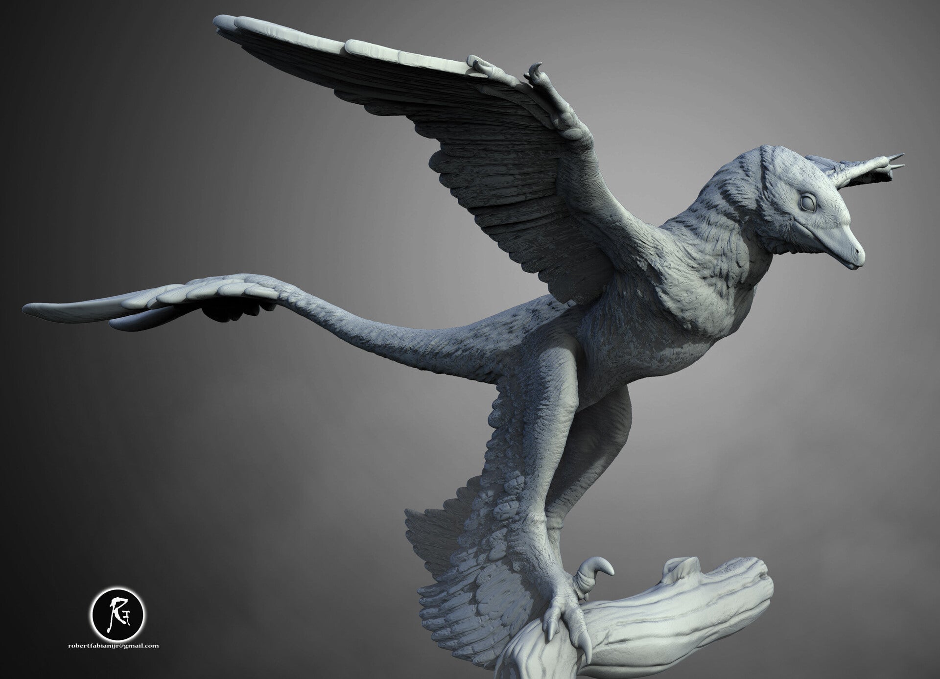 Microraptor 3D Digital Models