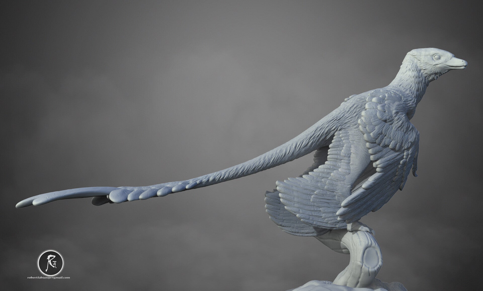 Microraptor 3D Digital Models