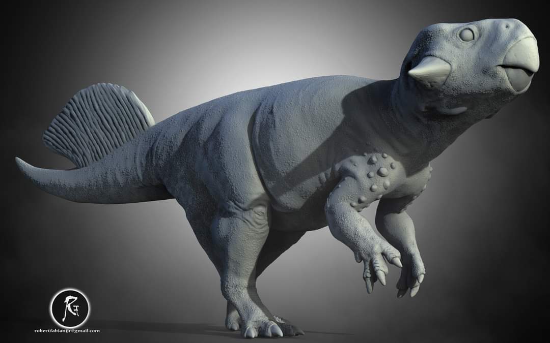 Psittacosaurus 3D Digital Models